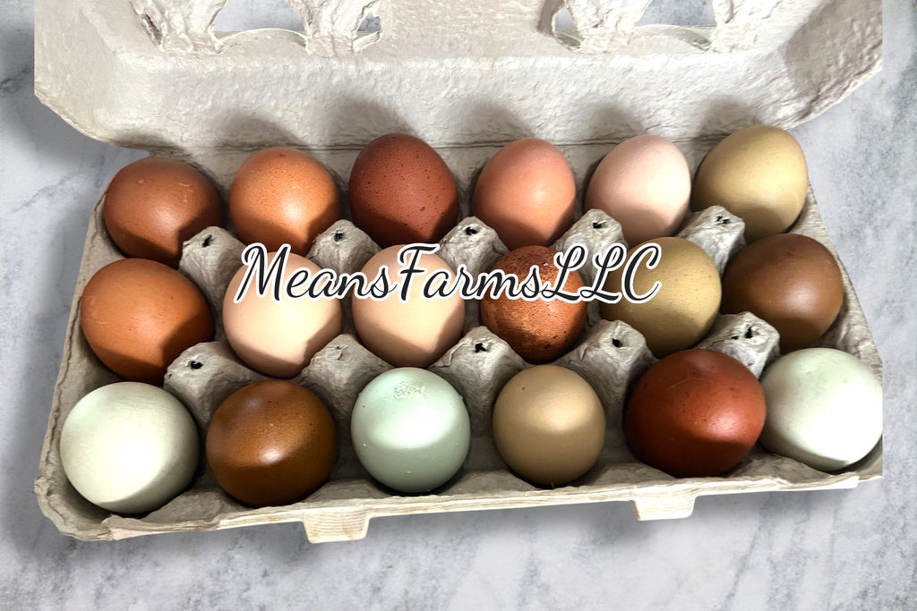Designer Dozen - Build your own Dozen or Half Dozen