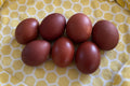 BB Marans