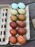 Assortment Rainbow Dozen