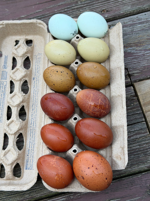 Assortment Rainbow Dozen