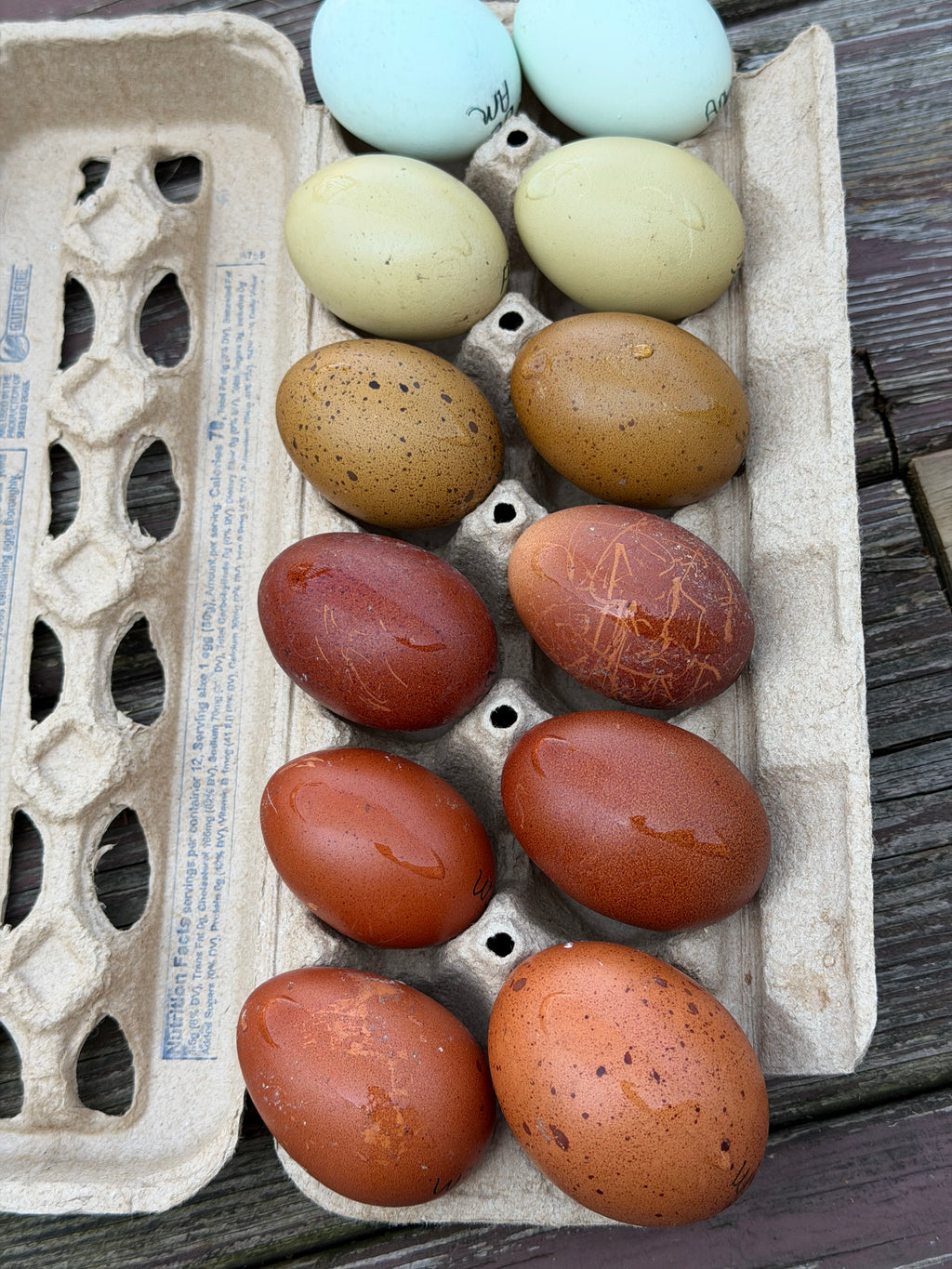 Assortment Rainbow Dozen