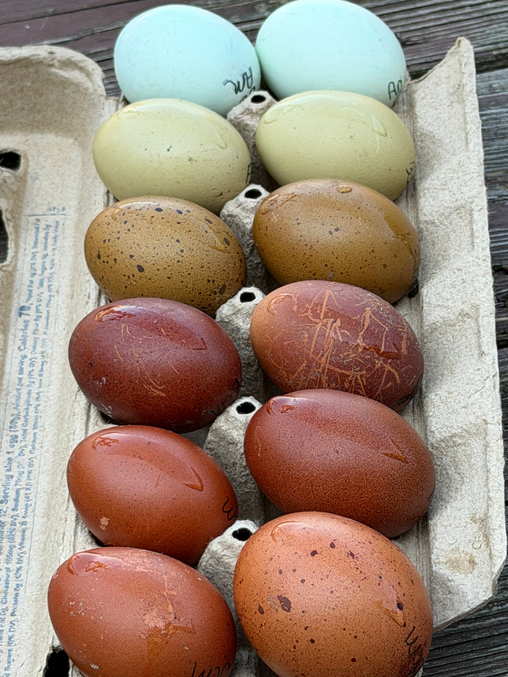 Assortment Rainbow Dozen